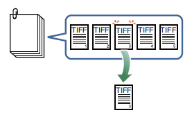 A diagram of a book

Description automatically generated